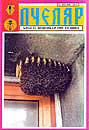 Decembar 1999 - Na opštini - u centru Kragujevca