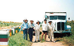 Ivan Vener (drugi s leva), Stanislav Vener (drugi s desna), Veroljub Umelji (prvi s leva), Srem - Petrovia Sala, 1989.