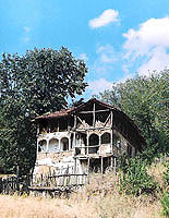Oronula lepotica I