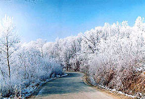 Inje