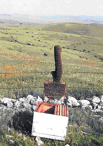 Sl. 7. Prihvatanje roja pomou ramova sa izgraenim saem